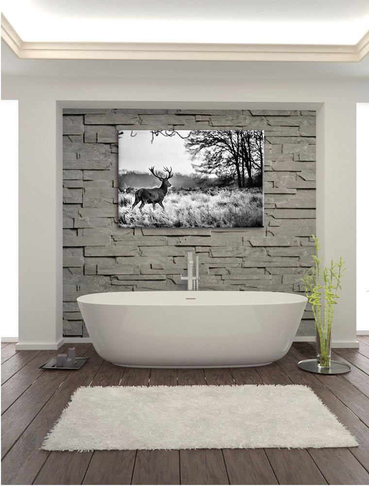 Pixxprint Monocrome, Hirsch im Sonnenuntergang, Format: 100x70 auf Leinwand, 100x70