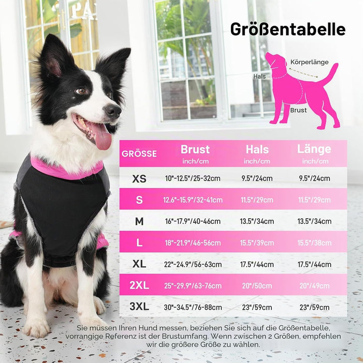 JoyDaog Warme Fleece Hundemäntel für grosse Hunde, D-Ringe wasserdichte Hundejacke für kalten Winter