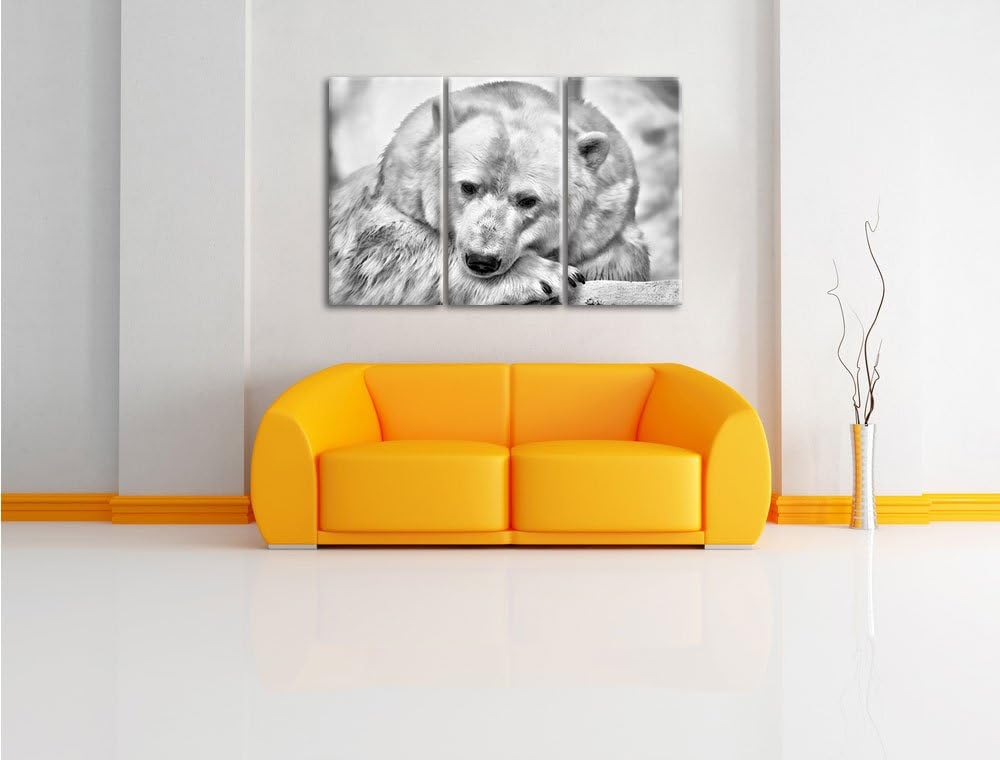 Pixxprint Nachdenklicher Eisbär als Leinwandbild/Grösse: 3 Teilig (120x80) cm/Wandbild/Kunstdruck/fe