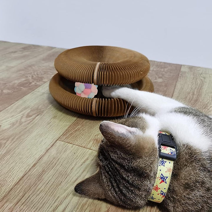 Katzenwirbel, Katzen Wirbel Spielzeug, Katzen Spielzeug, Katzenliebling Akkordeonspielzeug, Fummelbr