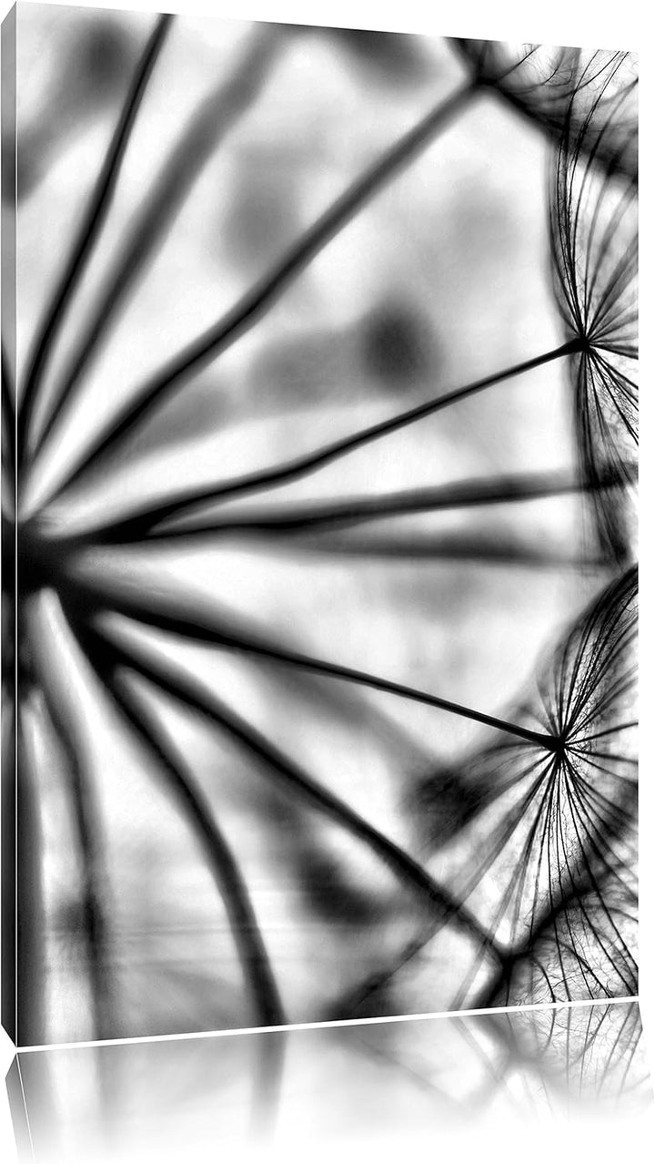 Pixxprint Weisse Pusteblumen / 100x70cm Leinwandbild bespannt auf Holzrahmen/Wandbild Kunstdruck Dek
