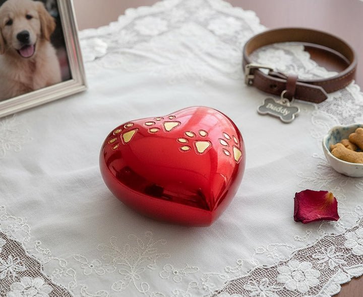 eSplanade Pet Urne Memorial Container Jar Pot | Messingurne | Urne aus Metall | Bestattungsurne | De