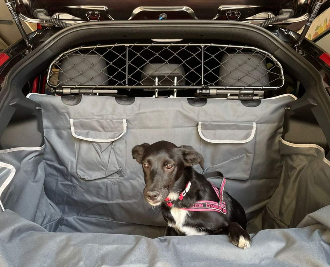 ERGOTECH Trennnetz Trenngitter für Toyota Yaris (ab BJ 2020) RDA65-HXXS, für Hunde und Gepäck
