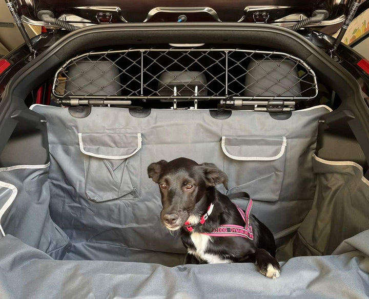 ERGOTECH Trennnetz Trenngitter für Toyota Yaris (ab BJ 2020) RDA65-HXXS, für Hunde und Gepäck