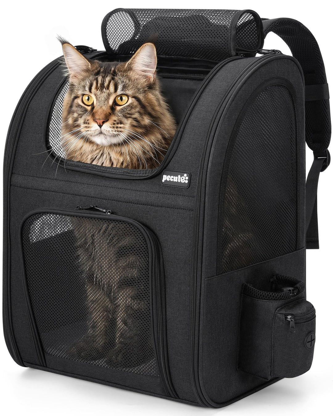 pecute Haustier Rucksack mit Netzfenster, Tragbare und Faltbare Katzentasche, Atmungsaktive und Leic