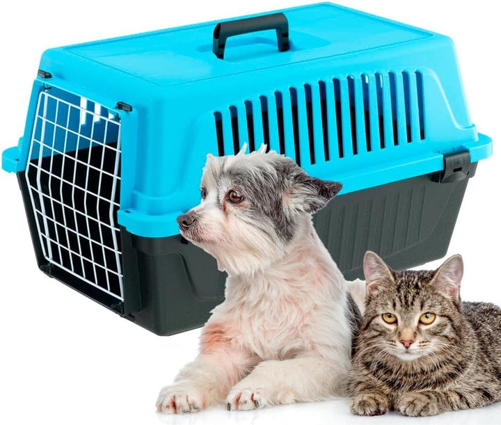 Ferplast Transportbox katze, Hundetransportbox kleine Hunde und Katzen bis 8 kg, Tür aus plastifizie