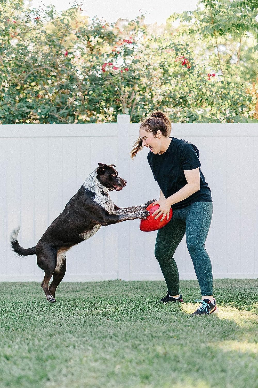 Jolly Pets Jolly Ei Hartplastik -Kugel für Pets Spass-Hunde Chewers Spielzeug Rot 20cm