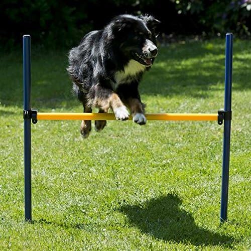 Procyon Dog Agility XXL-Set