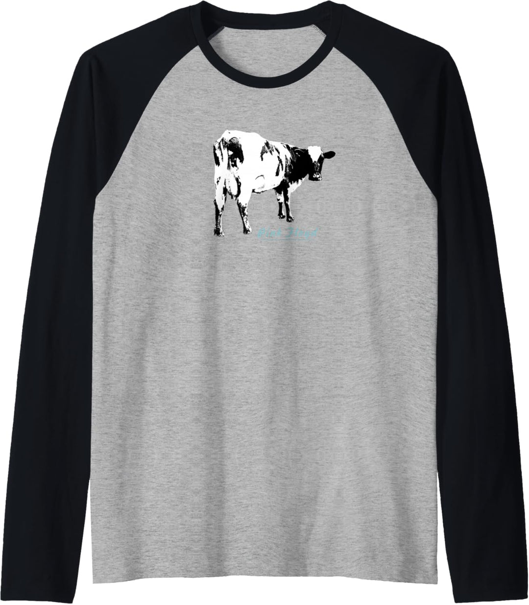 Pink Floyd Atom Heart Mother Raglan