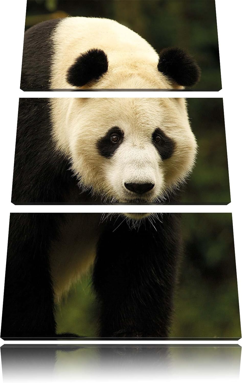 Pixxprint Leuchtturm mit Robben als Leinwandbild/Grösse: 3 Teilig (120x80) / Wandbild/Kunstdruck/fer