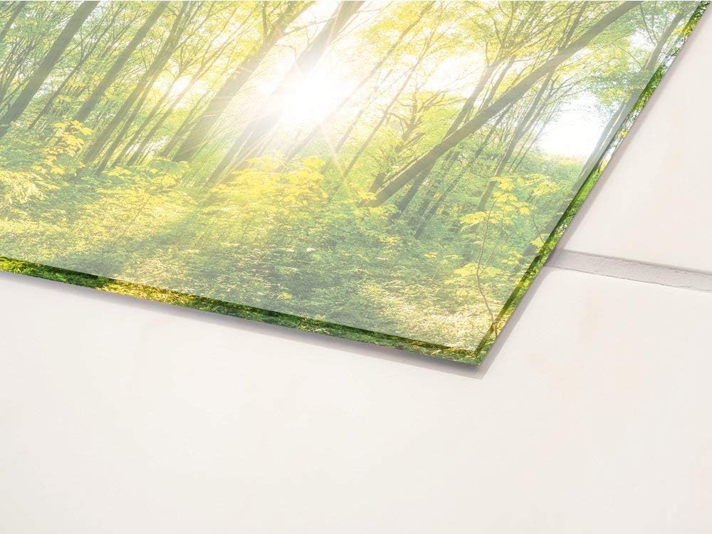 GRAZDesign Spritzschutz Küche Glas Wald, Lichtung, Bäume in Grün, Küchenrückwand Glas für Herd und S