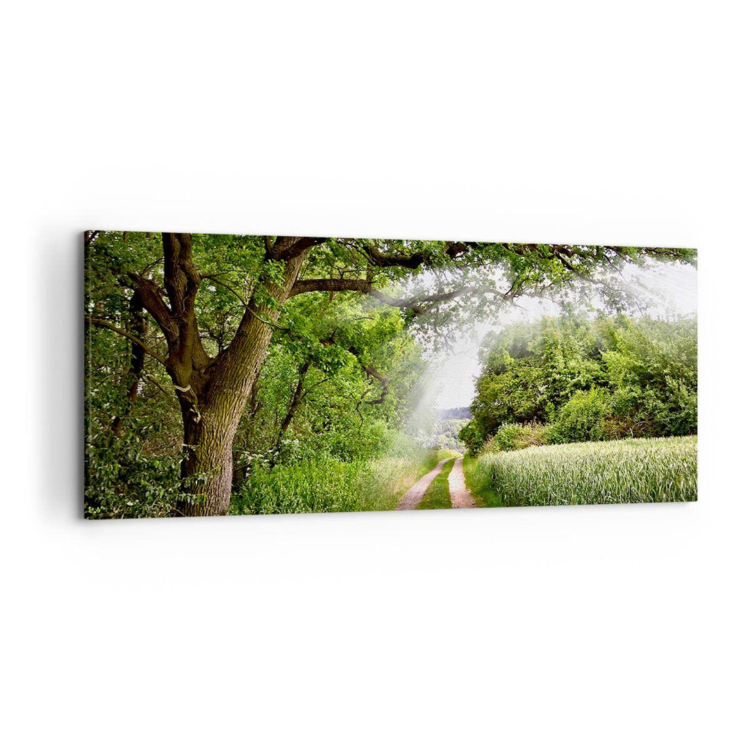 Wandbilder Dekoration Wohnzimmer Pfad Natur Wald Grün Panorama Bilder auf Leinwand 120x50cm Leinwand
