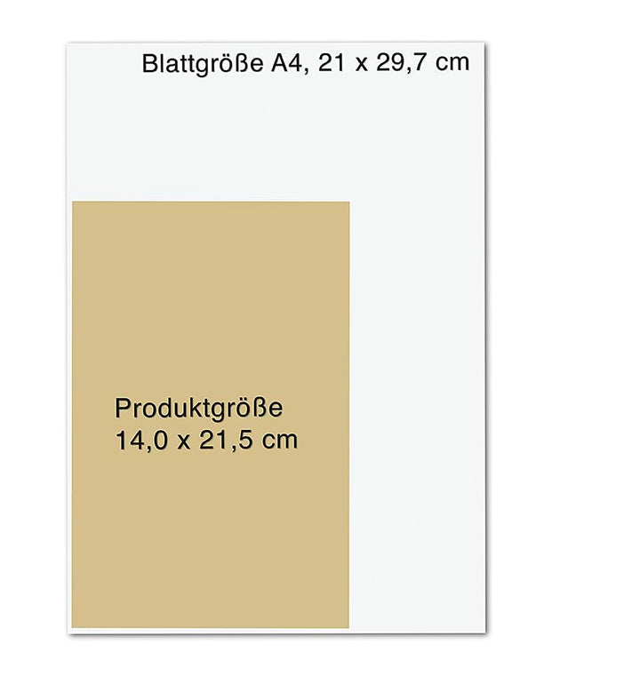 Facebook - Weltmacht am Abgrund: Der unzensierte Blick auf den Tech-Giganten, Gebundenes Buch