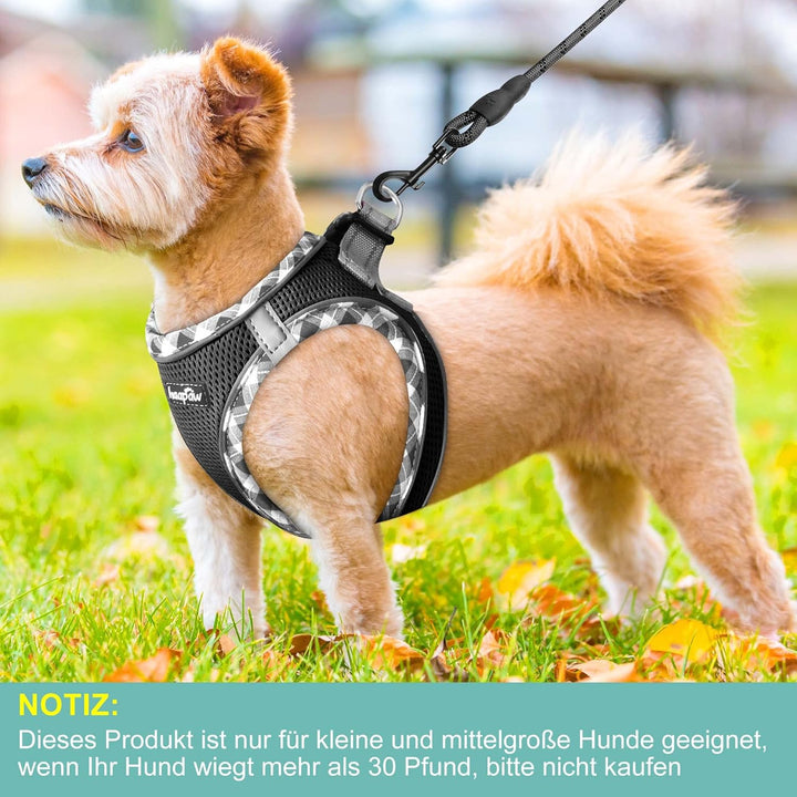haapaw Hundegeschirr und Leine Set, kein Ziehen, verstellbares, reflektierendes Step-in-Welpengeschi