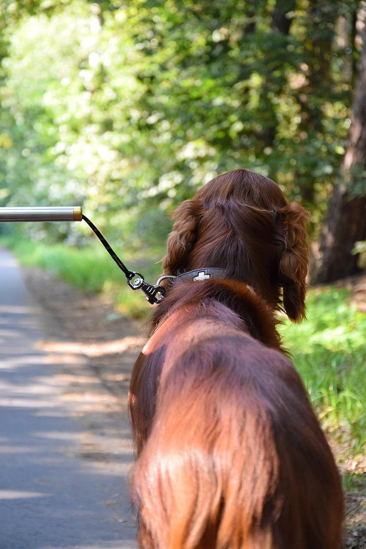 dobar® 62000 Walky Dog Plus Hunde Fahrradleine - Abstandhalter aus Edelstahl - Fahrradhalter mit Dre