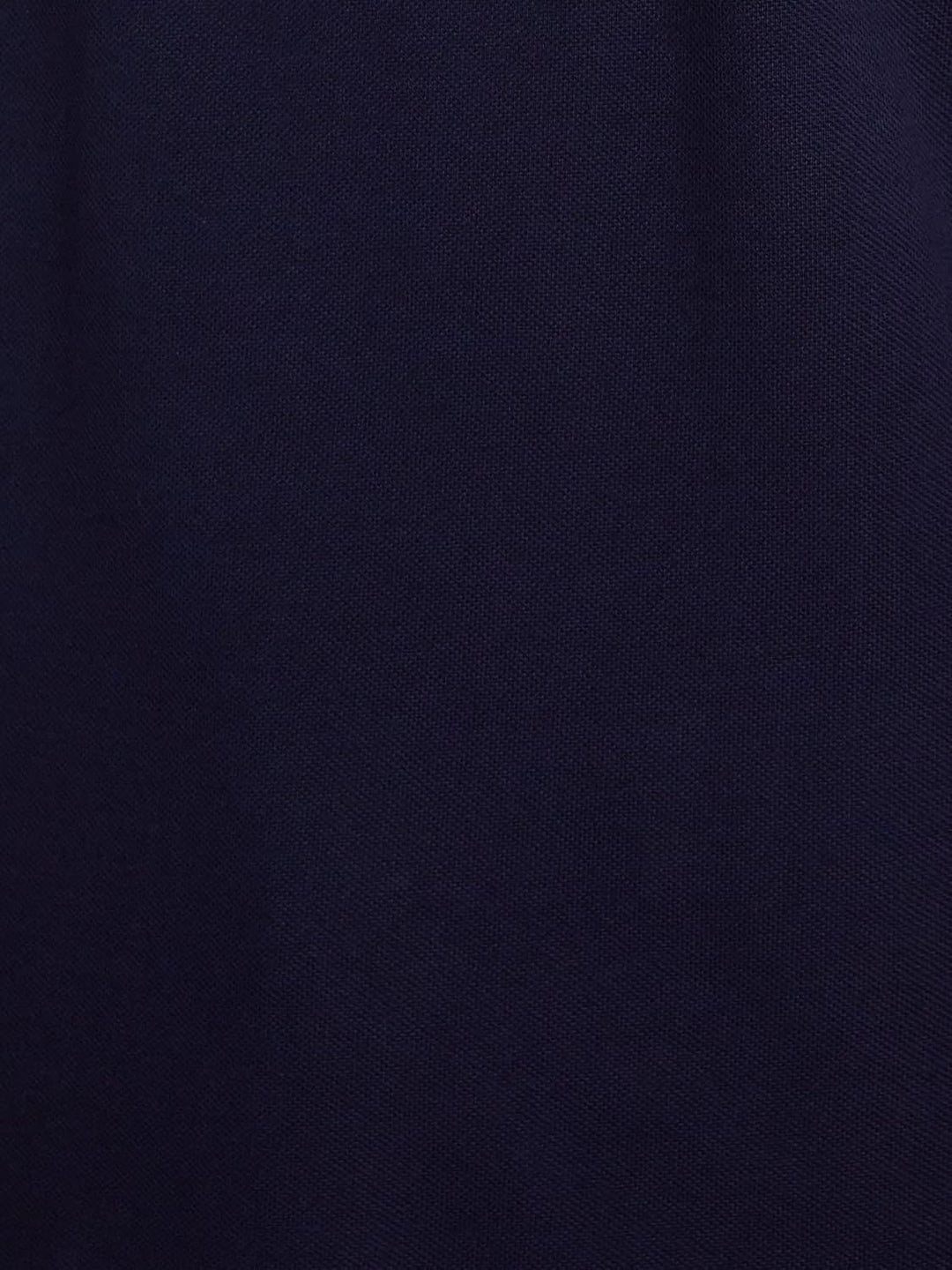 Lacoste Herren Poloshirt L Blau (Marine), L Blau (Marine)