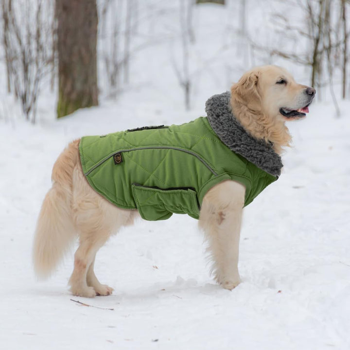 EMUST Hundejacke Winter, Kaltwettermäntel, Weiche Wintermantel für Mittelgrosse Hunde, Winterweste f