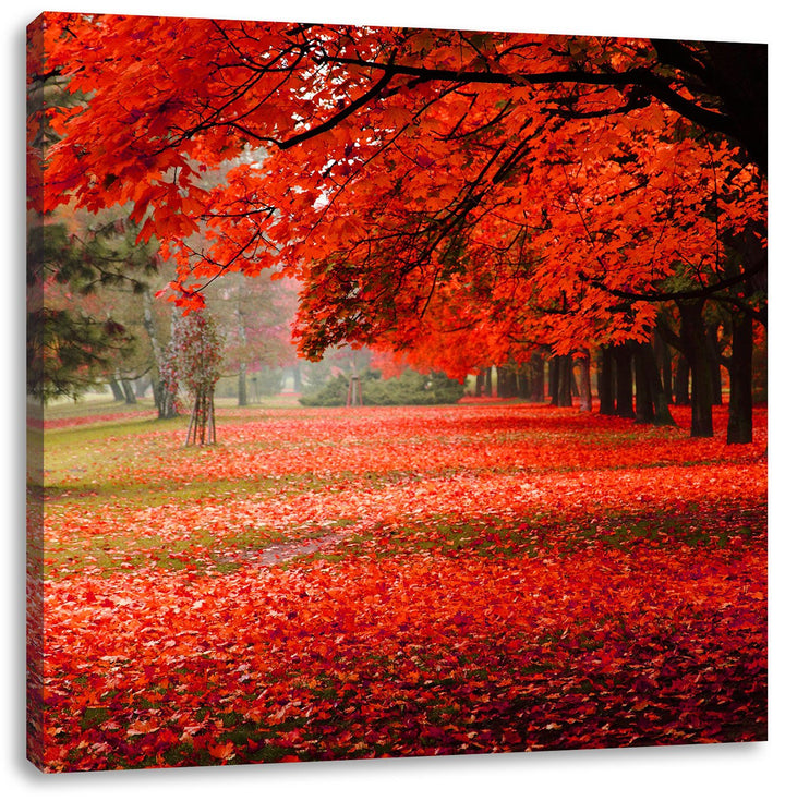Pixxprint Rot gefärbter Park im Herbst, Format: 70x70 auf Leinwand, 70x70