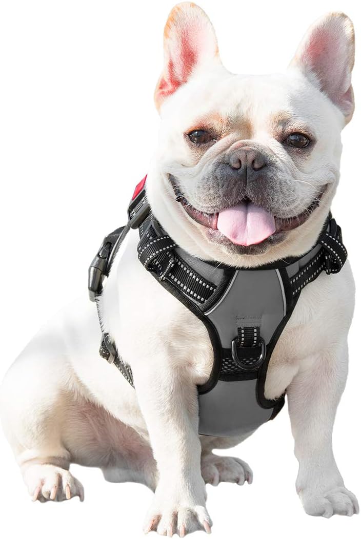 Phoepet Anti-Zieh-Hundegeschirr, reflektierend, verstellbar, mit Trainingsgriff, Namensausweisfach,