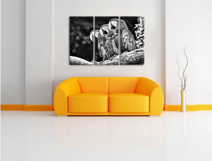 Papageien auf AST als Leinwandbild/Grösse: 3 Teilig (120x80) cm/Wandbild/Kunstdruck/fertig bespannt