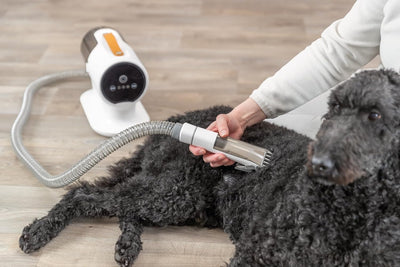 TRIXIE Schermaschinenset mit Fellsauger für Hunde – Fellschneidemaschine für alle Felltypen (ausser
