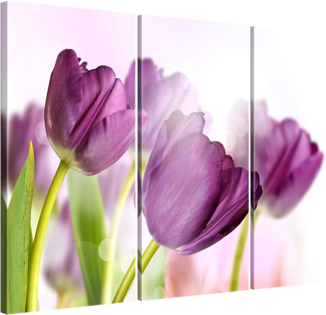 ge Bildet Bild auf Leinwand | Tulpe - Blumen Violett Natur E in 90x60 cm mehrteilig als Wandbild | W