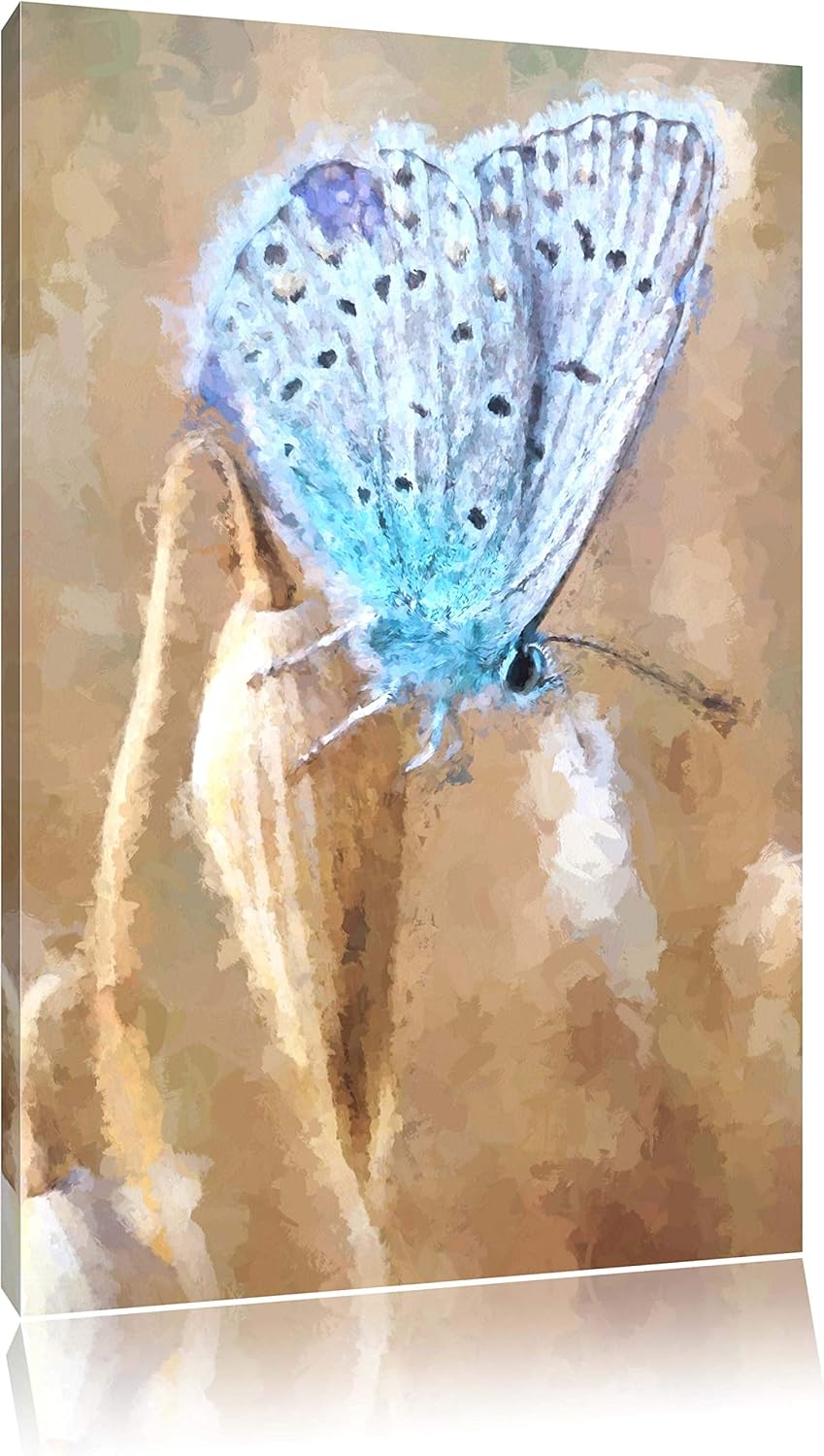 Pixxprint Blauer Schmetterling als Leinwandbild/Grösse: 120x80 cm/Wandbild/Kunstdruck/fertig bespann