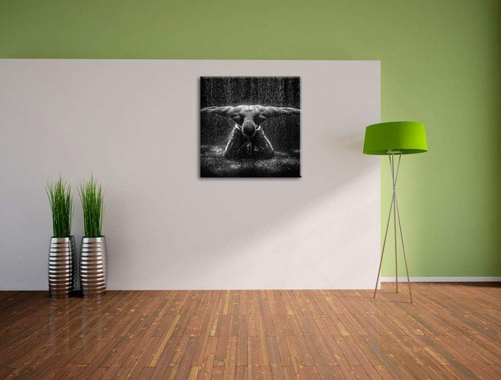 Bodybuilder im Regen, Format: 70x70 auf Leinwand, XXL riesige Bilder fertig gerahmt mit Keilrahmen,