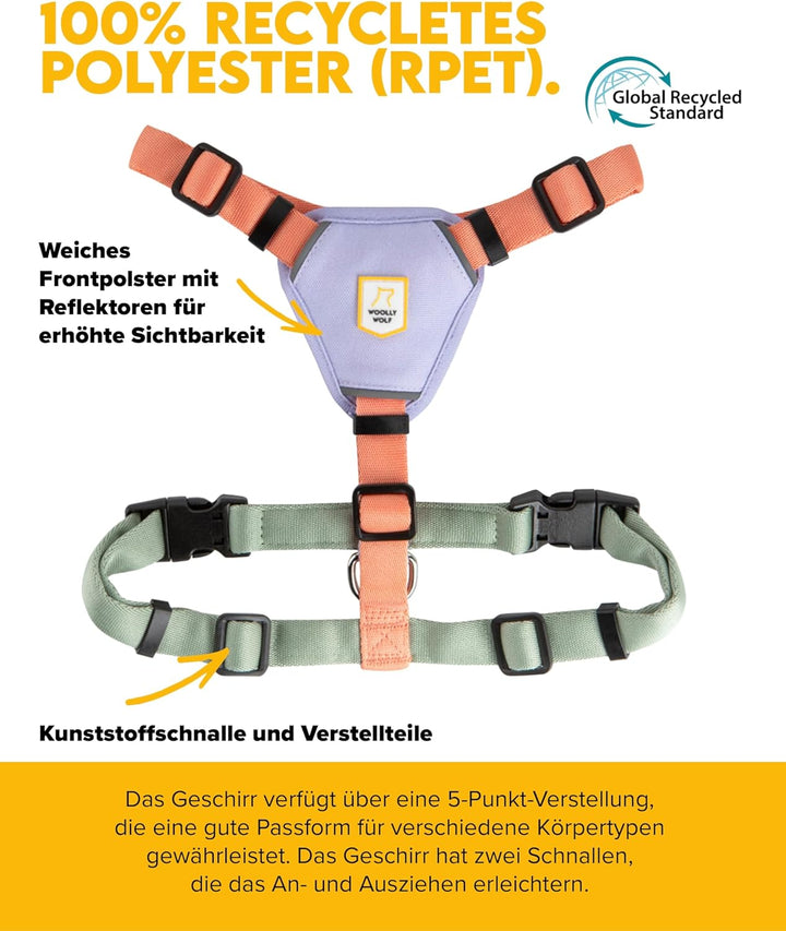 Woolly Wolf Color Block Hundegeschirr für kleine Hunde S – Geschirr mit Reflektoren &amp; 5-Punkt-Anpass