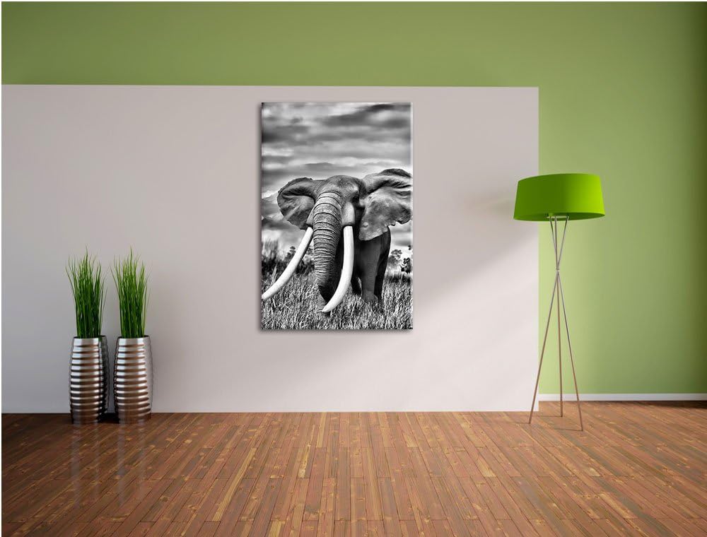 Pixxprint Stolzer Elefant in Savanne als Leinwandbild/Grösse: 100x70 cm/Wandbild/Kunstdruck/fertig b