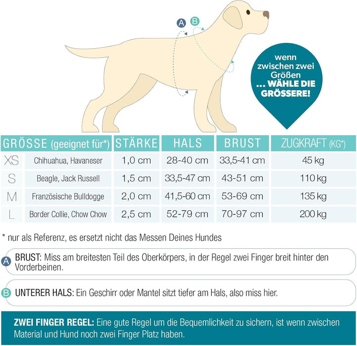 Max & Molly Hundegeschirr Matrix 2.0 Jade/L in H-Form, für Hunde mit Gotcha! Smart ID, Geschirr Hund
