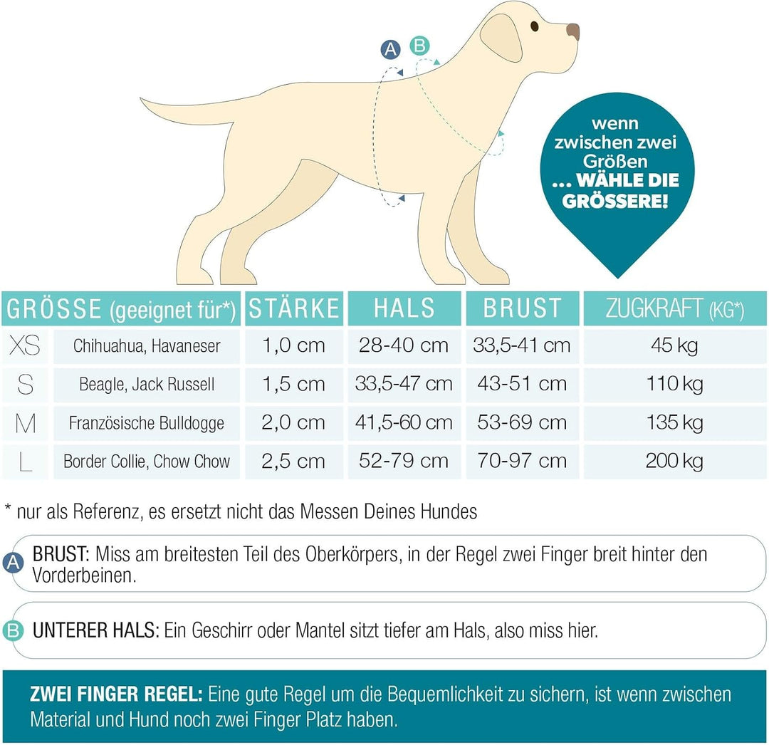 Max &amp; Molly Hundegeschirr Matrix 2.0 Stone/XS in H-Form, für Hunde mit Gotcha! Smart ID, Geschirr Hu