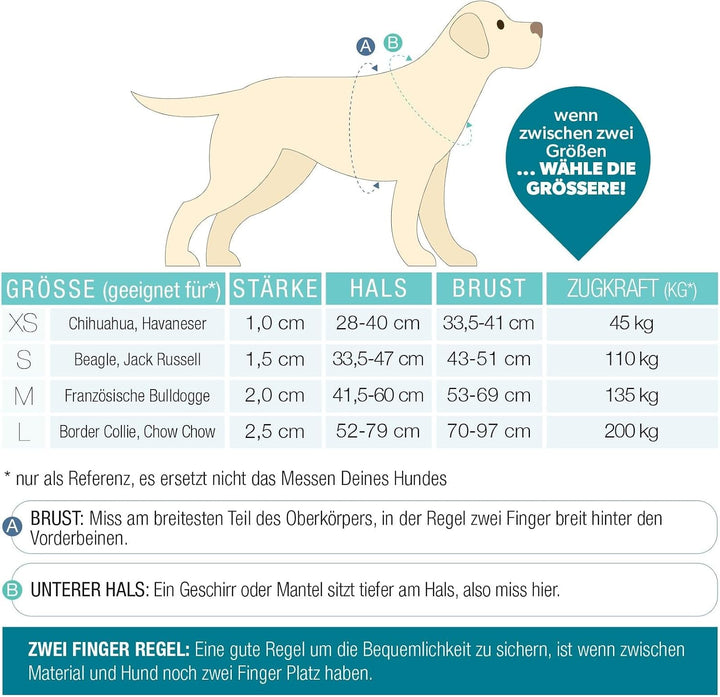 Max &amp; Molly Hundegeschirr Matrix 2.0 Stone/XS in H-Form, für Hunde mit Gotcha! Smart ID, Geschirr Hu