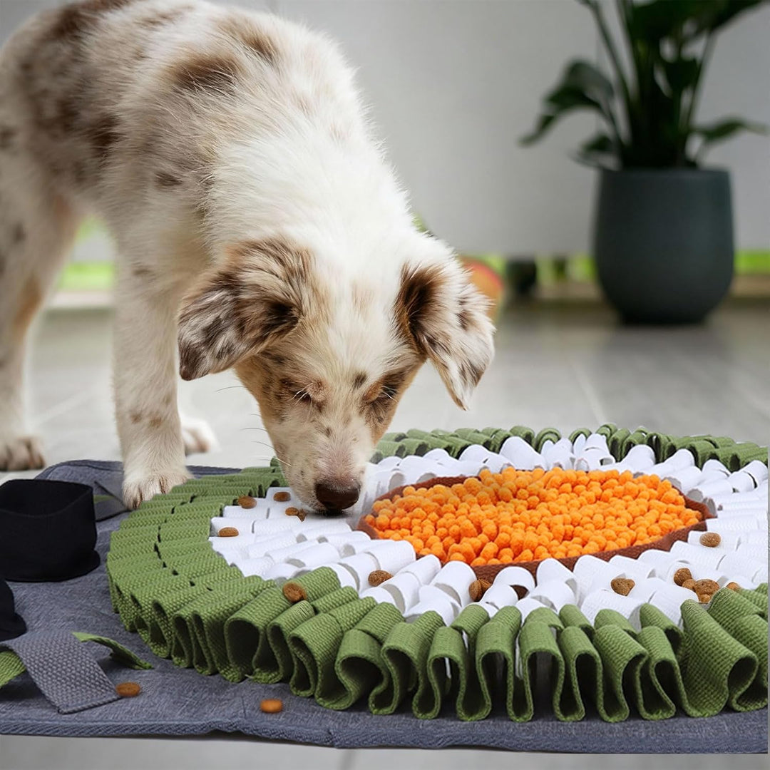 Hund Schnüffelteppich, Schnüffelteppich für Hunde Waschbar Schnüffelmatte Trainingsmatte Riechen Tra