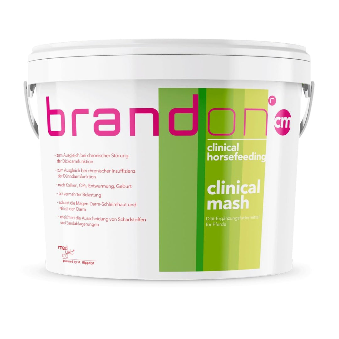Brandon c-mash