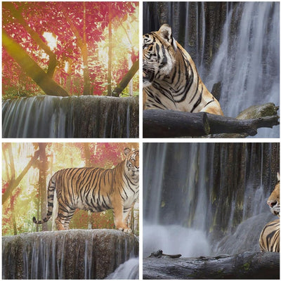 Wandbilder Dekoration Wohnzimmer Tiger natur tier paradies Panorama Bilder auf Leinwand 120x50cm Lei