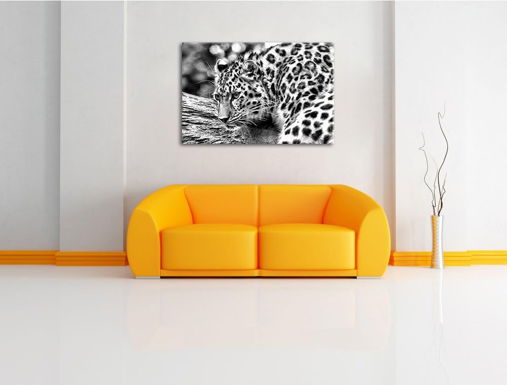 Pixxprint Monocrome, aufmerksamer Leopard auf Baumstamm, Format: 100x70 auf Leinwand, XXL riesige Bi