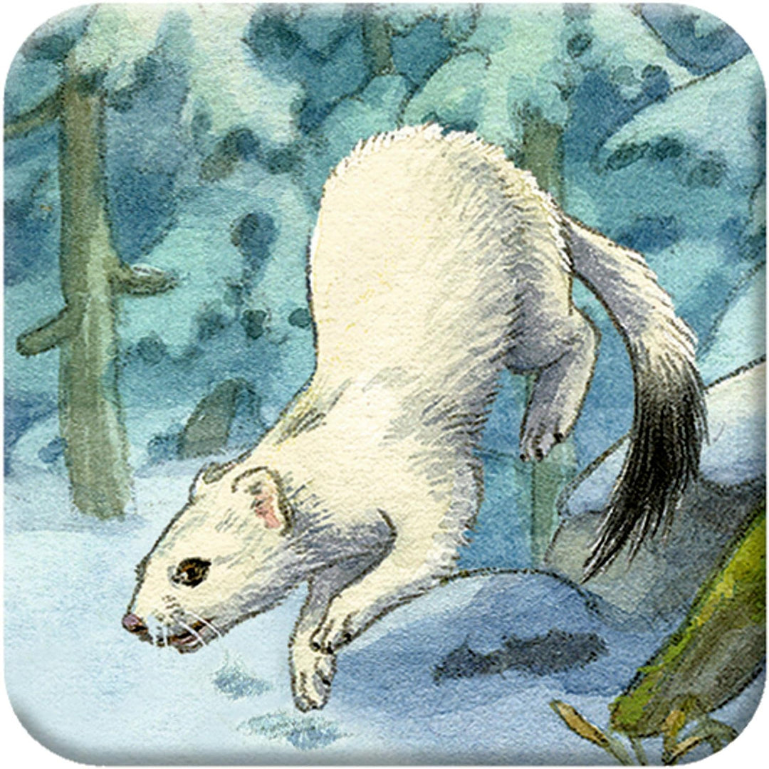 Memo-Adventskalender – Die Tiere im Winterwald, Kalender
