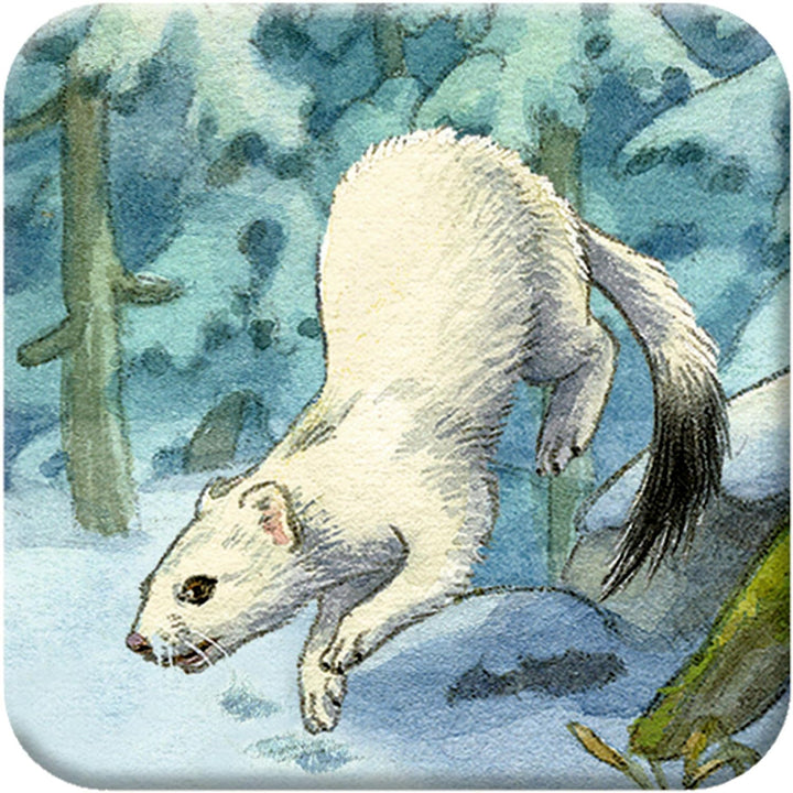 Memo-Adventskalender – Die Tiere im Winterwald, Kalender