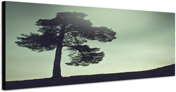 Paul Sinus Art Panoramabild auf Leinwand und Keilrahmen 150x50cm Wiese Baum Himmel Vintage