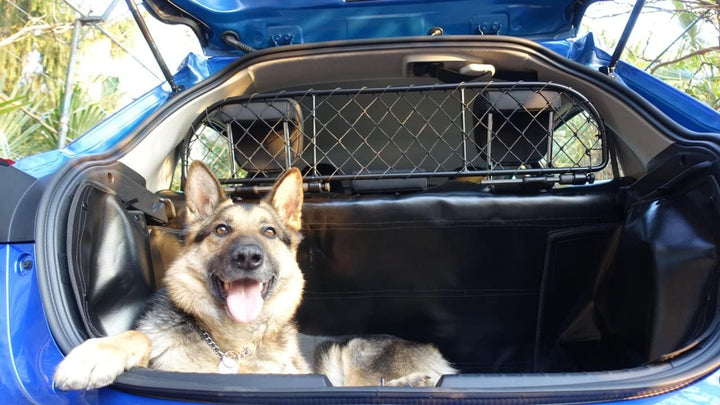 ERGOTECH Trennnetz Trenngitter Hundenetz Hundegitter für Toyota Prius Plus (Kombi)