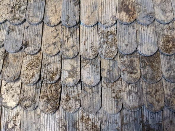 menta-modellbau Dachschindeln Tirol mit Rundung, 55 Stück Krippenbau Krippenzubehör Holzschindeln