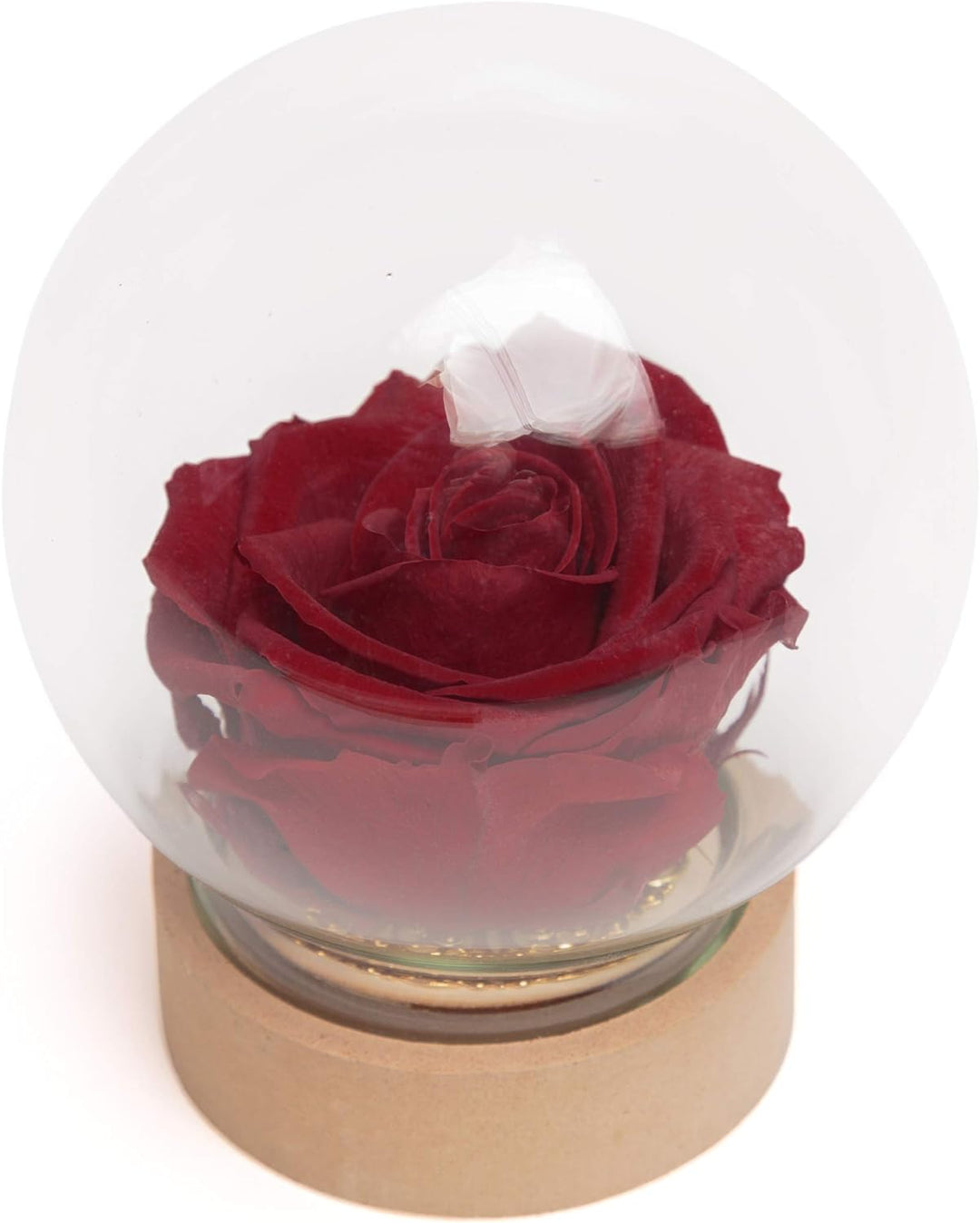 ROSEMARIE SCHULZ Heidelberg Infinity Rose im Glas echte haltbar langlebige Rose in Glaskugel (Large,