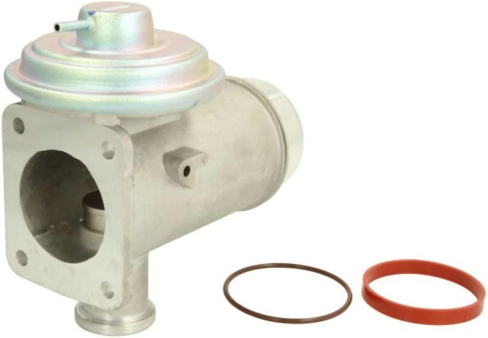 Delphi EG10466-12B1 - AGR-Ventil