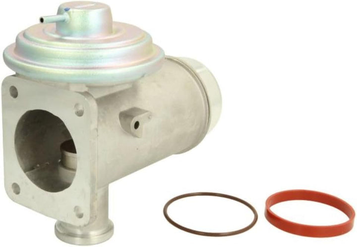 Delphi EG10466-12B1 - AGR-Ventil