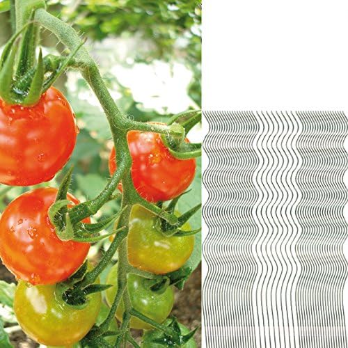 BigDean 50 Tomatenspiralstäbe 110cm voll verzinkt Tomatenstab Tomaten Ranke Pflanzstab Stahl Profi Q