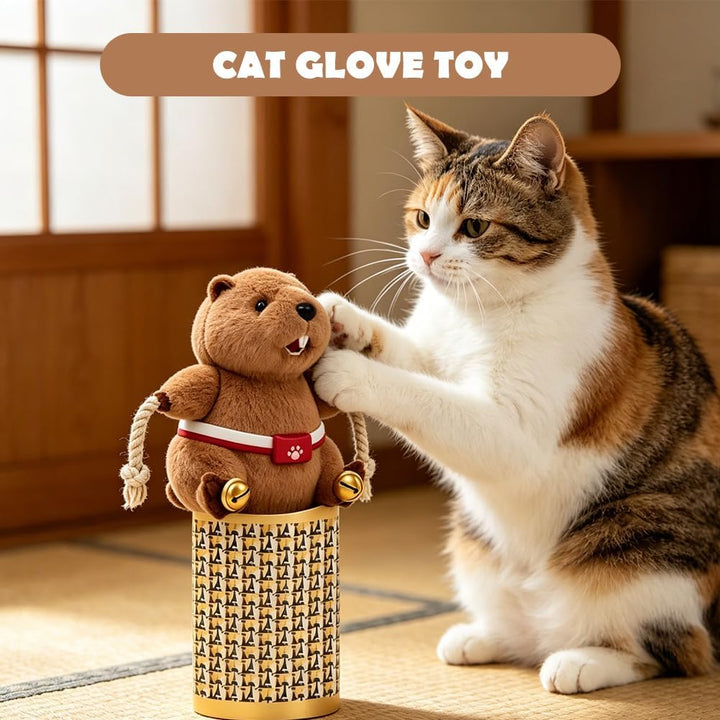 FARYODI Katzen Wrestling Handschuh, Interaktive Katzen Handpuppe mit robuster Polsterung, Sicheres K