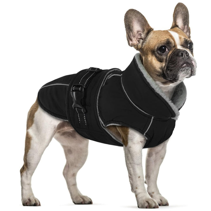Hundejacke Mittelgrosse Hunde, Hundejacke Wasserdicht Hundemantel Fleece Hundepullover Mittelgrosse