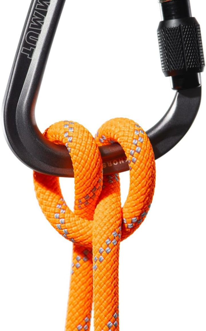 Mammut Seil 9.5 Alpine Dry Kletterseil Dry - Safety Orange/Zen Lg 40, Dry - Safety Orange/Zen Lg 40