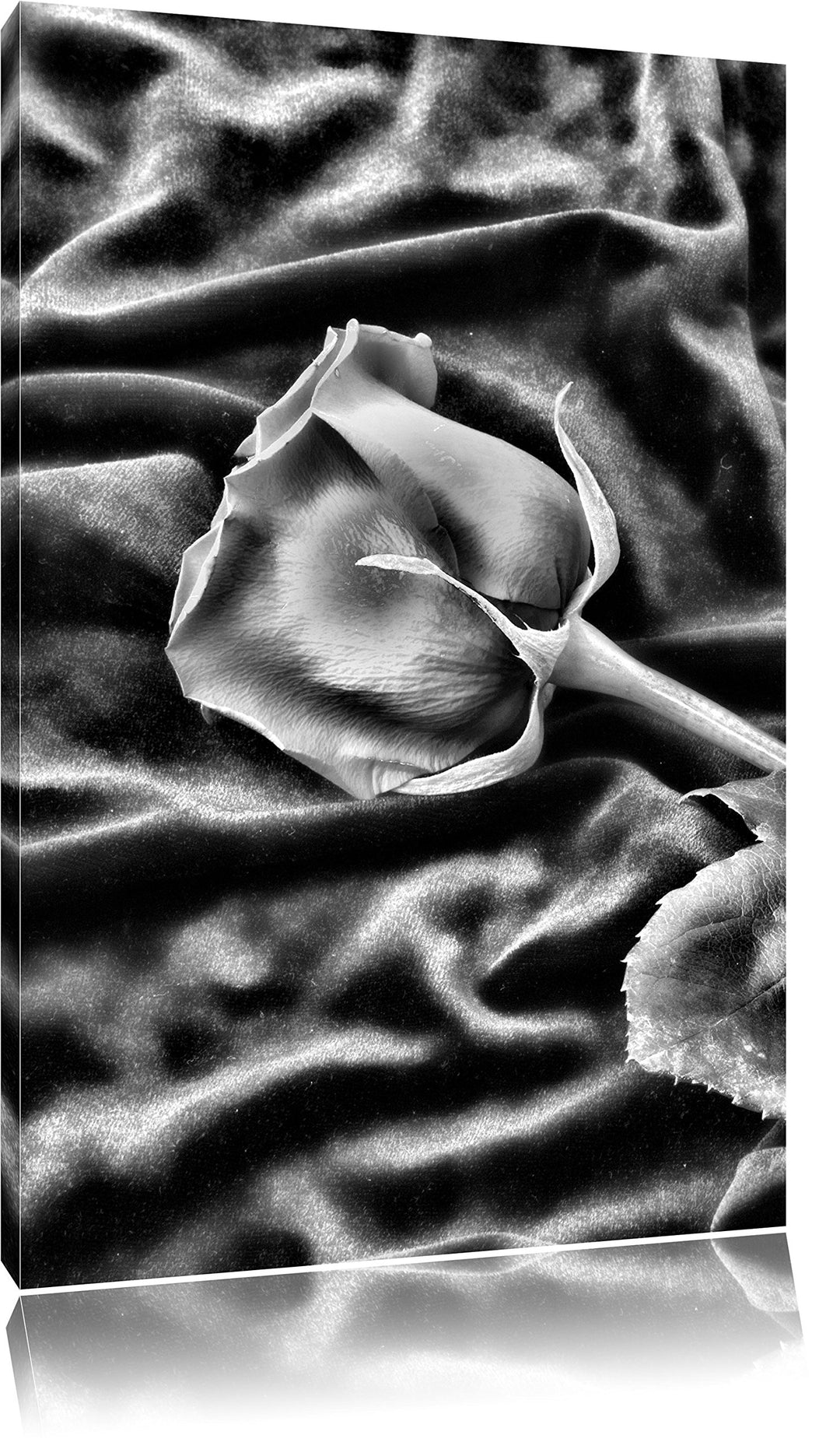 Monocrome, Rose, Format: 100x70 auf Leinwand, XXL riesige Bilder fertig gerahmt mit Keilrahmen, Kuns